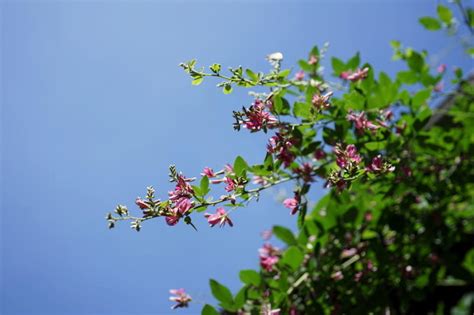 2018年10月11日